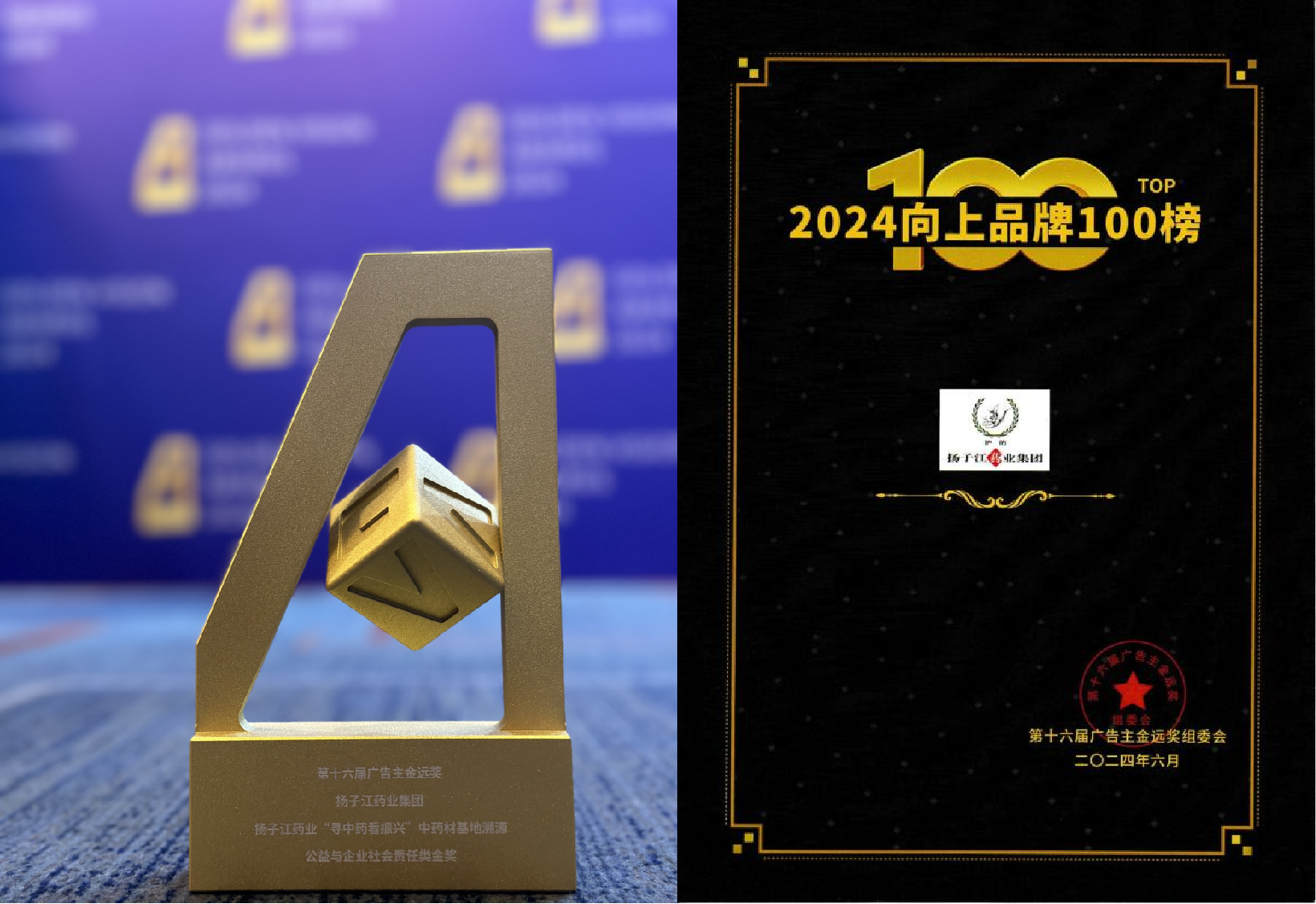  花开并蒂，扬子江药业集团斩获第十六届广告主金远奖两项荣誉